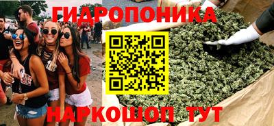 стафф Нальчик