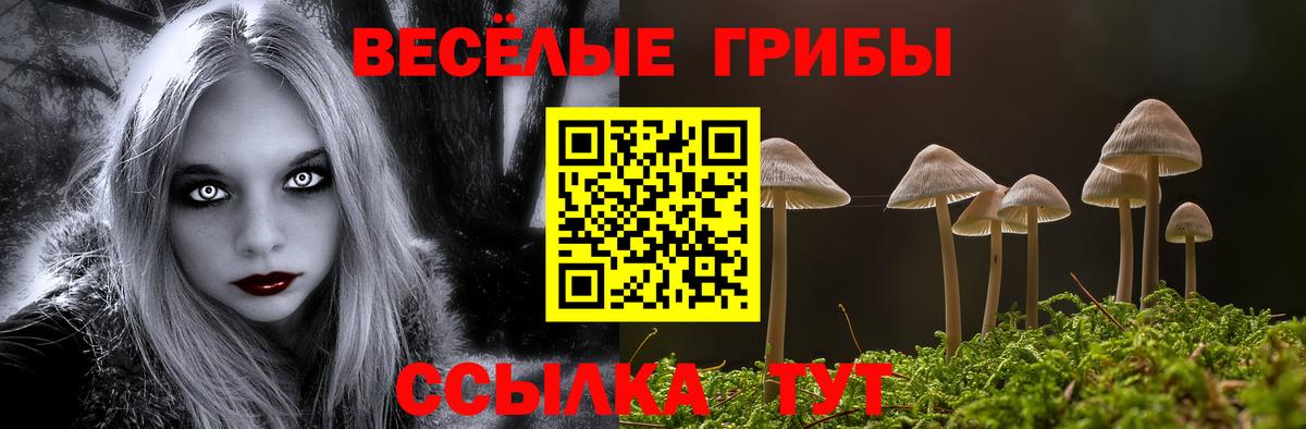 Узловая  Галлюциногенные грибы Psilocybine cubensis  Вход с VPN 